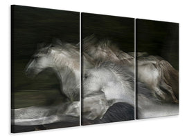 3-piece-canvas-print-into-the-dark