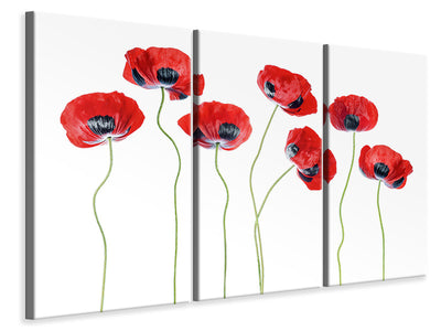 3-piece-canvas-print-ladybird-poppies