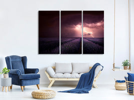 3-piece-canvas-print-lavender-fragrance