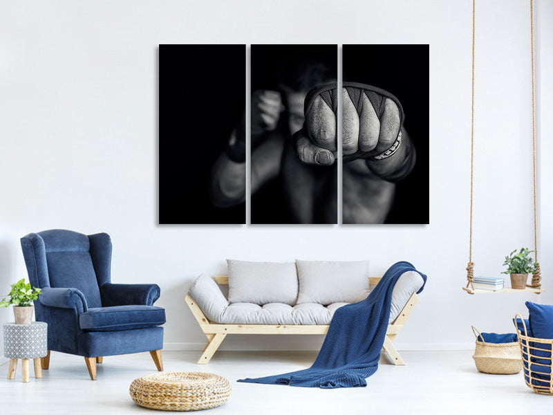 3-piece-canvas-print-left-wing