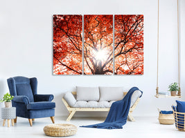 3-piece-canvas-print-light-of-autumn