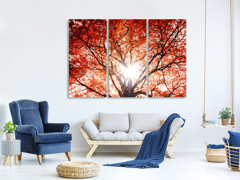 3-piece-canvas-print-light-of-autumn