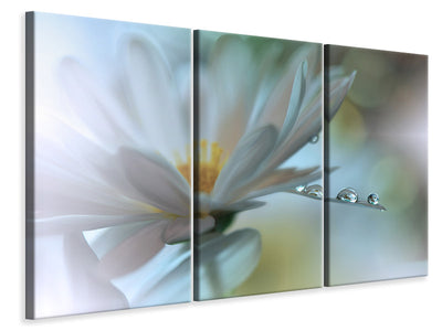 3-piece-canvas-print-light-touch