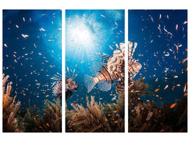 3-piece-canvas-print-lionfish-ii