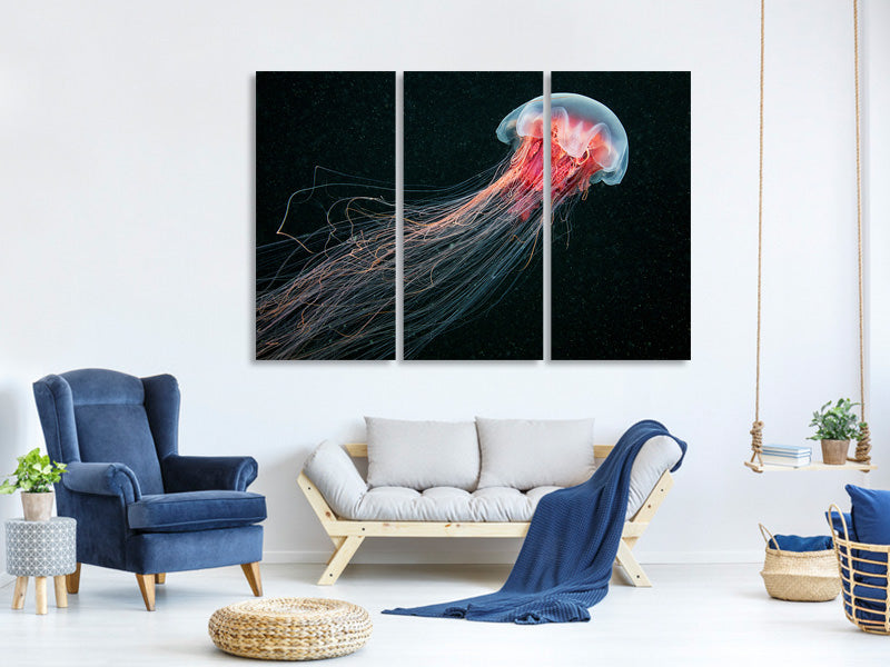 3-piece-canvas-print-longtail