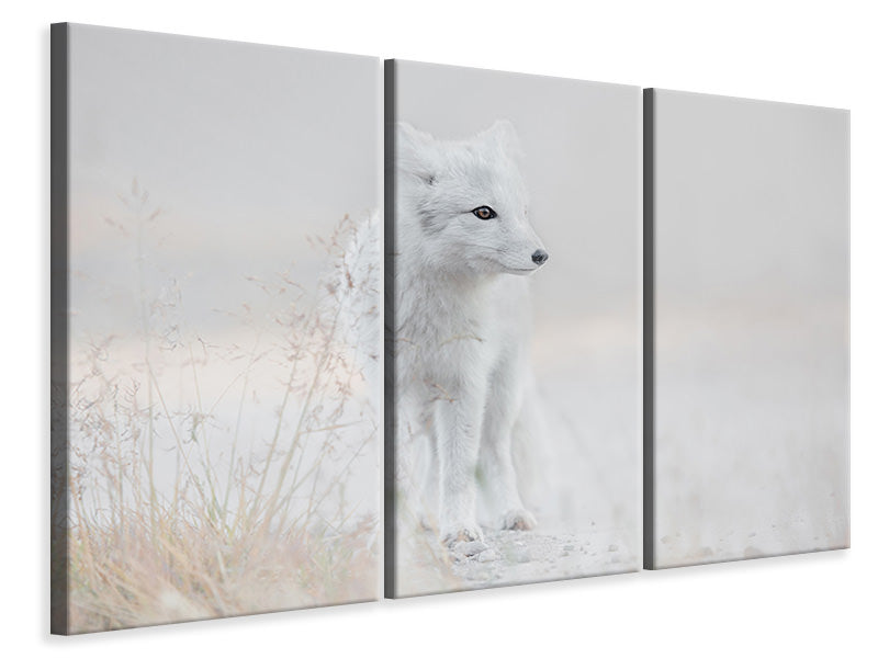 3-piece-canvas-print-looking-around