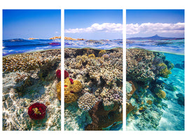 3-piece-canvas-print-mayotte-the-reef