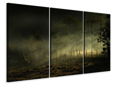 3-piece-canvas-print-misty-morning-ii