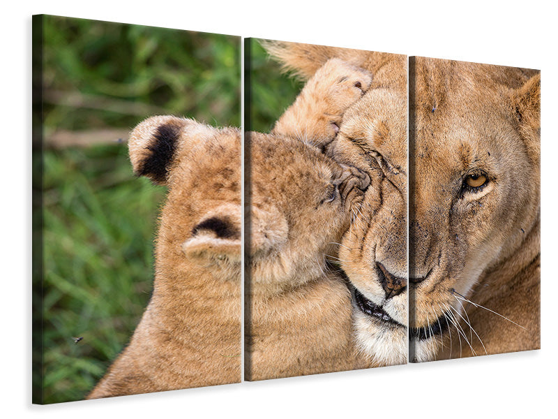 3-piece-canvas-print-mother-love