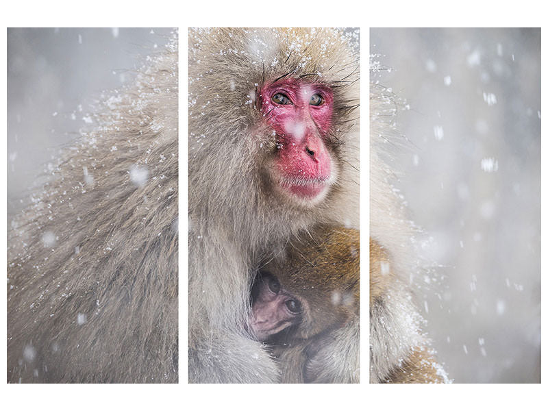 3-piece-canvas-print-mothers-warmth