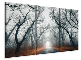 3-piece-canvas-print-mysterious-mood-in-the-forest