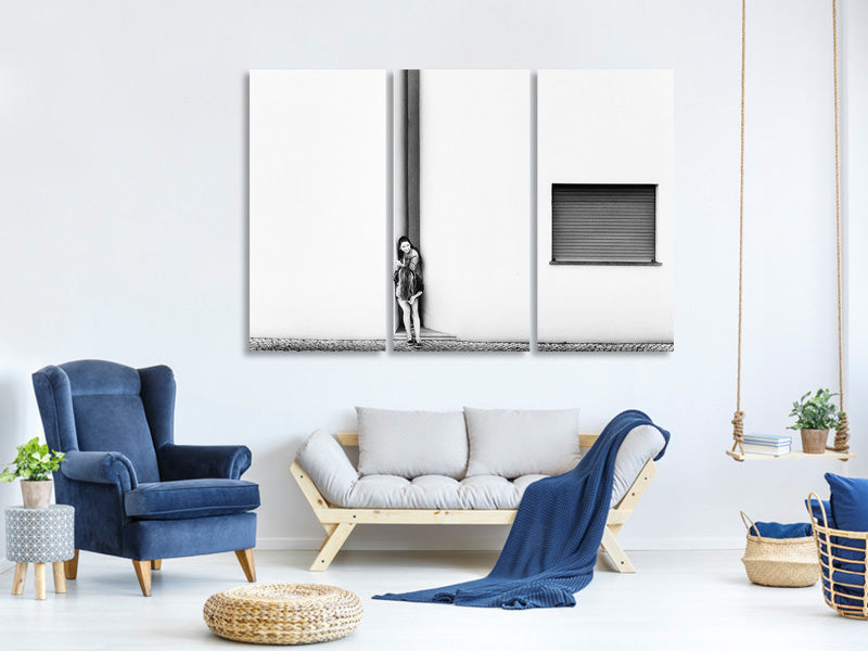 3-piece-canvas-print-no-secret-hideout