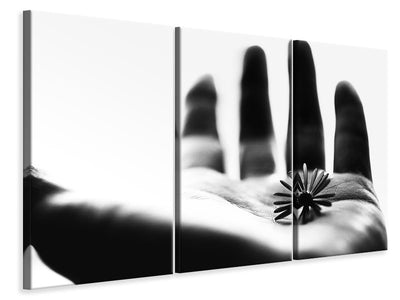 3-piece-canvas-print-one-life