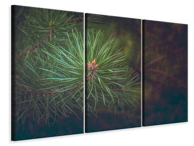 3-piece-canvas-print-pine-tree-close-up