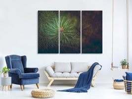 3-piece-canvas-print-pine-tree-close-up