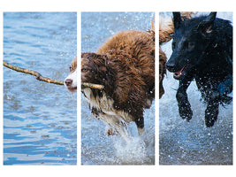 3-piece-canvas-print-playing-dogs