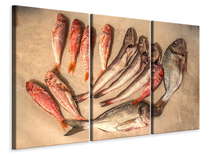 3-piece-canvas-print-raw-fish-ii