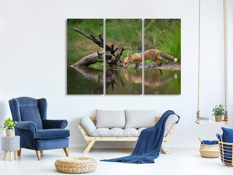 3-piece-canvas-print-red-fox-ii