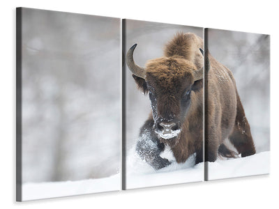 3-piece-canvas-print-rewilded