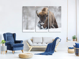 3-piece-canvas-print-rewilded