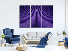 3-piece-canvas-print-she