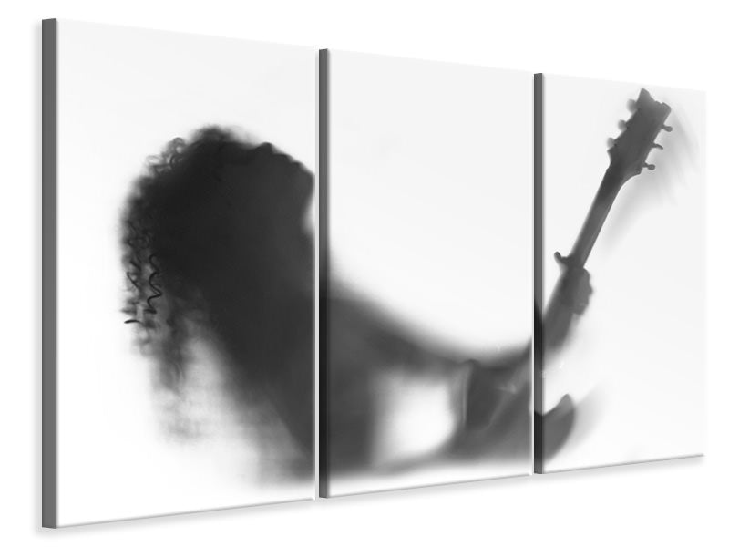 3-piece-canvas-print-solo