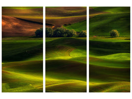 3-piece-canvas-print-spring-in-the-palouse