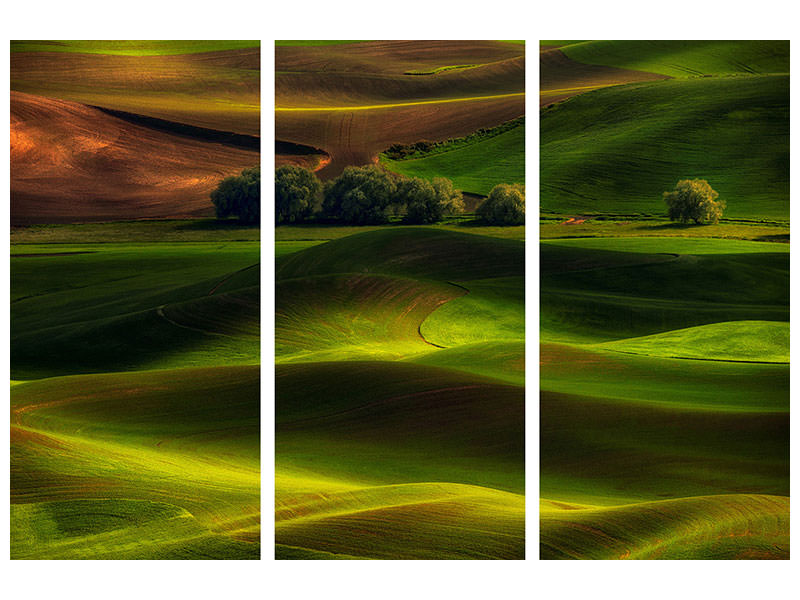 3-piece-canvas-print-spring-in-the-palouse