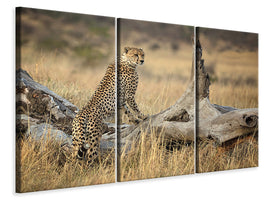 3-piece-canvas-print-strong