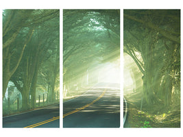 3-piece-canvas-print-the-avenue