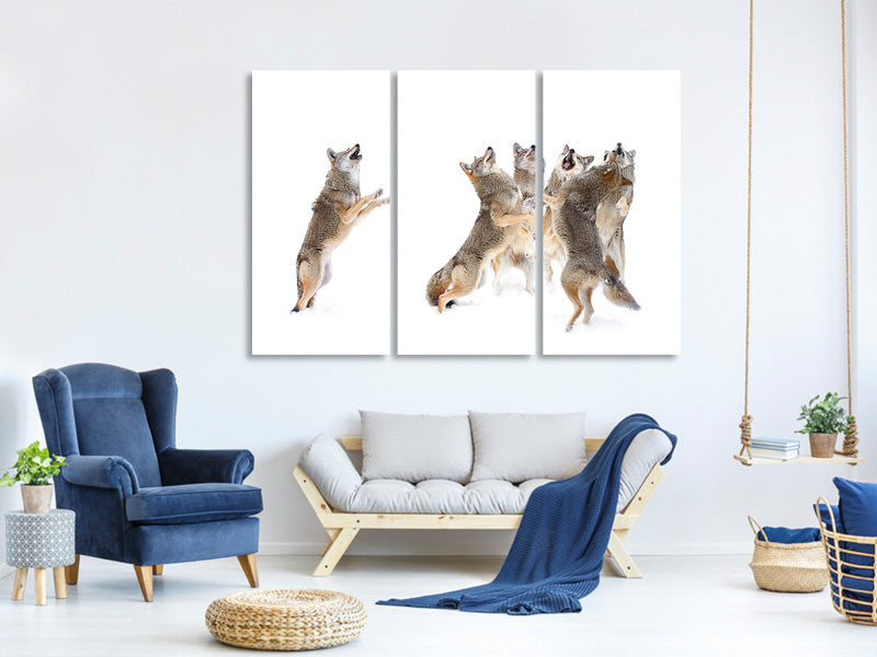 3-piece-canvas-print-the-choir-coyotes