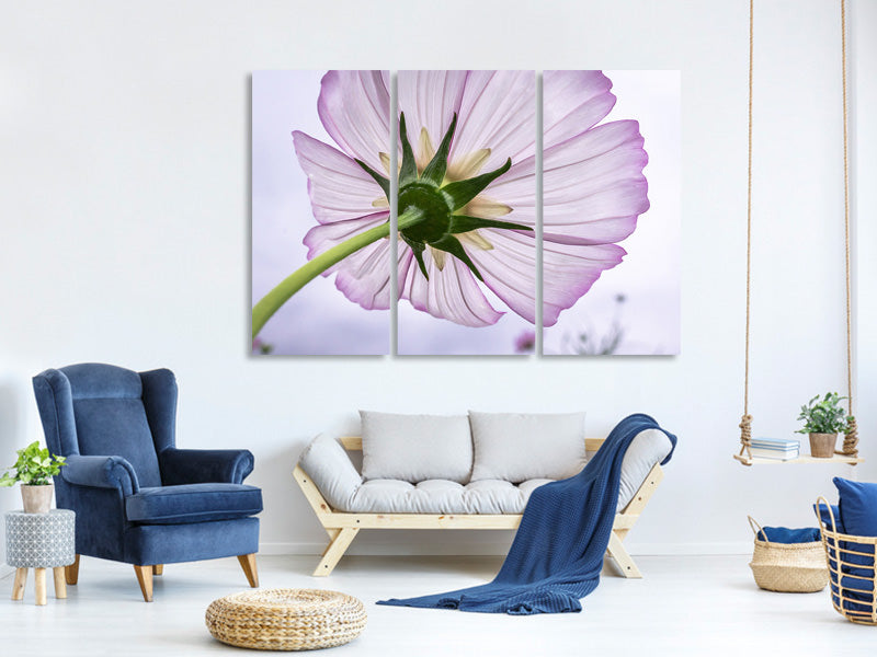 3-piece-canvas-print-the-cosmos-flower