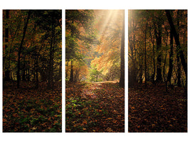 3-piece-canvas-print-the-deciduous-forest