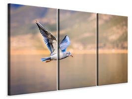 3-piece-canvas-print-the-flying-seagull