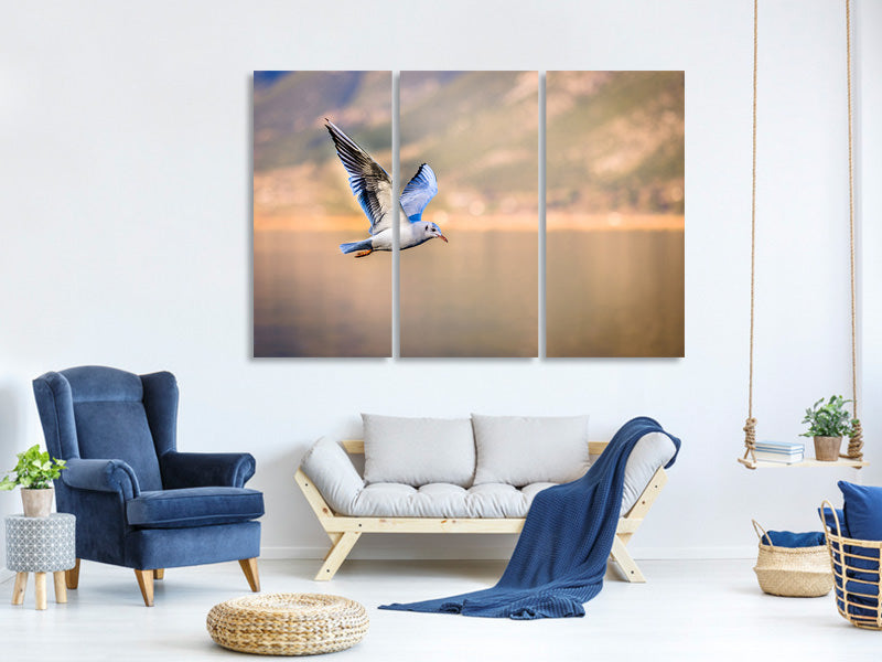 3-piece-canvas-print-the-flying-seagull