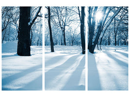 3-piece-canvas-print-the-forest-without-tracks-in-the-snow