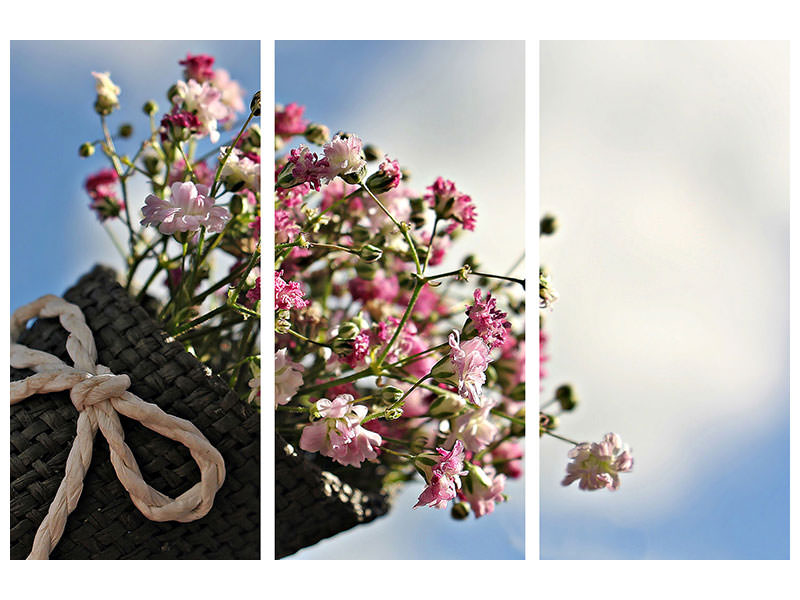 3-piece-canvas-print-the-gypsophila