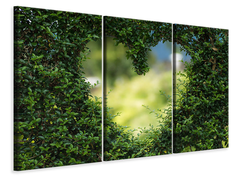 3-piece-canvas-print-the-heart-in-the-hedge