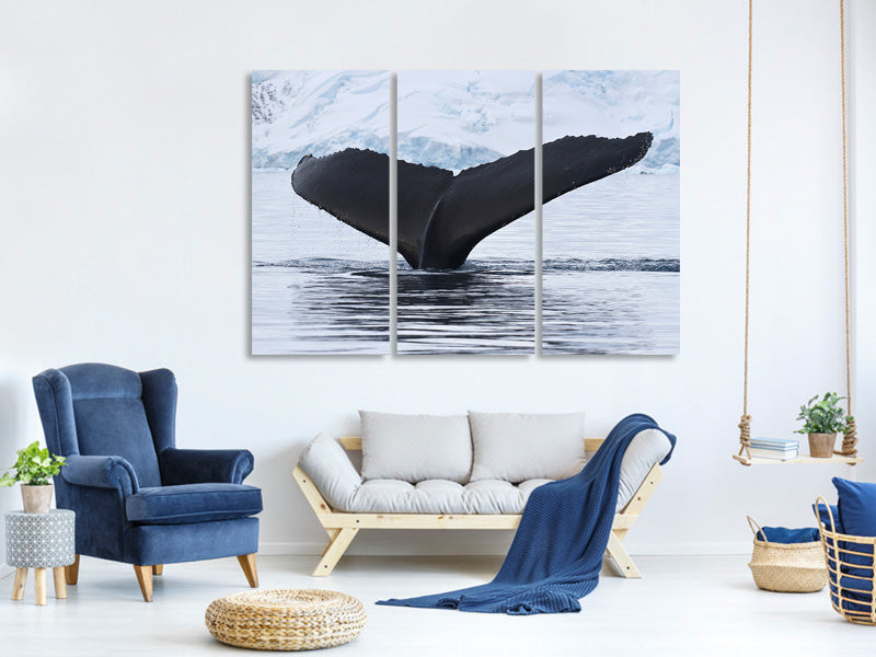 3-piece-canvas-print-the-humpback-whale