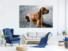 3-piece-canvas-print-the-irish-setter