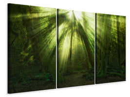 3-piece-canvas-print-the-miracle