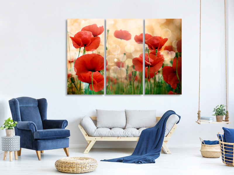 3-piece-canvas-print-the-poppy