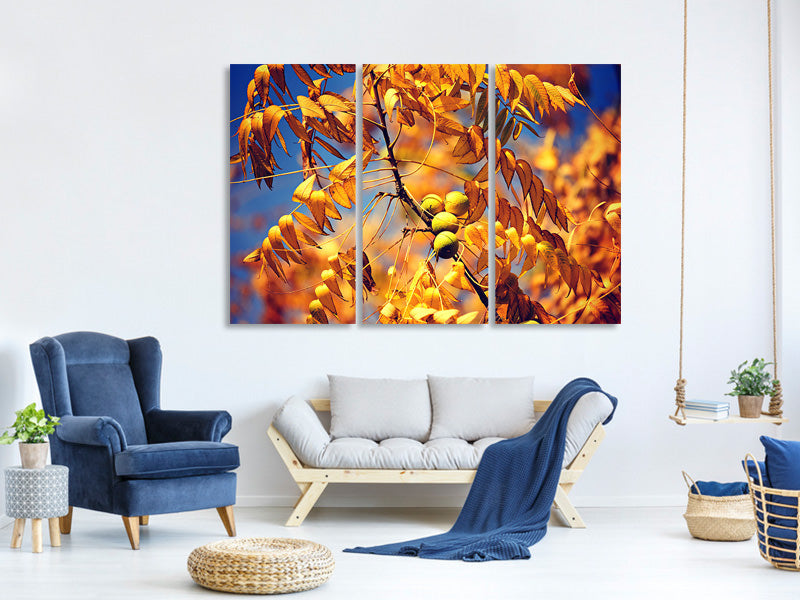 3-piece-canvas-print-the-walnut-xl