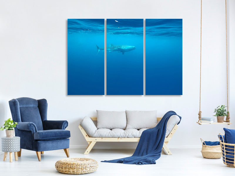 3-piece-canvas-print-the-whale-shark