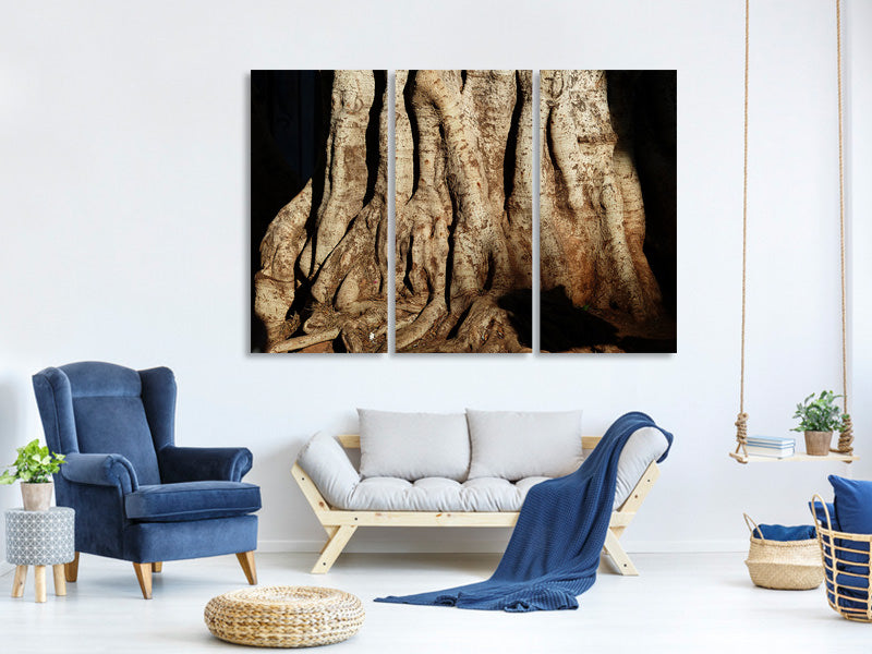 3-piece-canvas-print-tree-close-up