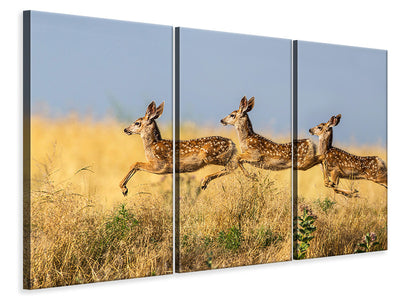 3-piece-canvas-print-tripple-jump