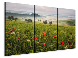 3-piece-canvas-print-tuscan-spring