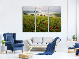 3-piece-canvas-print-tuscan-spring