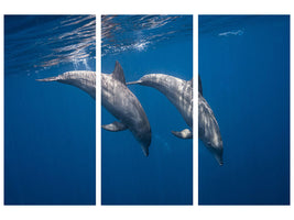 3-piece-canvas-print-two-bottlenose-dolphins