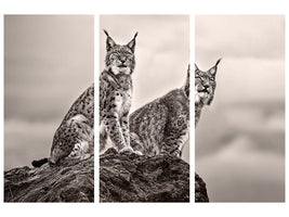 3-piece-canvas-print-two-lynx-on-rock